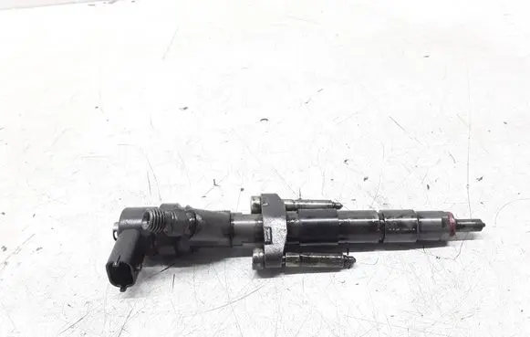 Renault Espace - Grand espace IV Fuel injector 8200084534 0445110084