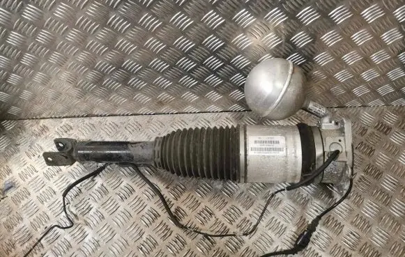 Volkswagen Phaeton Rear shock absorber/damper 3D0616001K