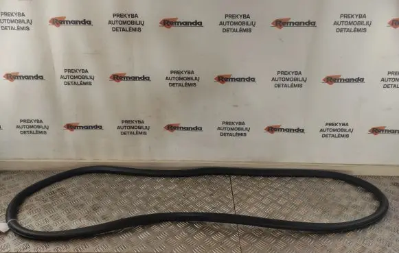 Chevrolet Cruze Front door rubber seal