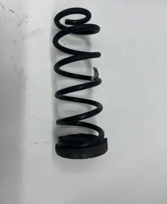 Rear coil spring