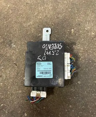 KIA Sorento Other control units/modules 954003E310