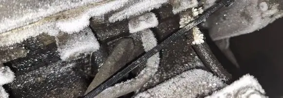 Nissan Almera Tino Fuel injector 