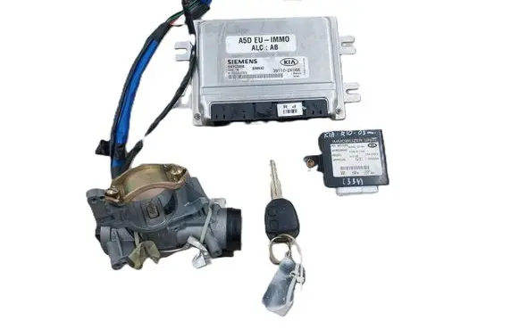 KIA Rio Engine control unit/module 5WY1345B 391102X066