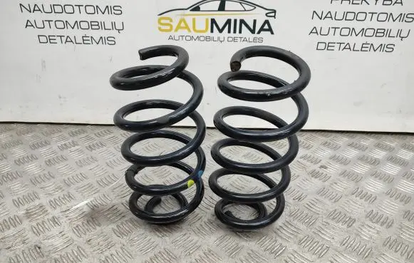 Renault Zoe Rear coil spring