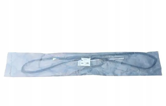 Hyundai Ioniq 5 Rubber seal loading door window/glass 86130