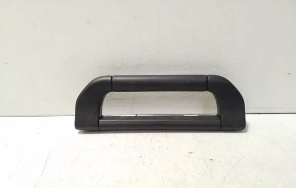 BMW X5 E70 Front interior roof grab handle 8257226