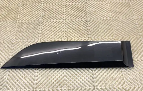 Renault Scenic III - Grand scenic III Rear door trim (molding) 828770009R