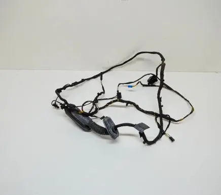 BMW 5 GT F07 Rear door wiring loom 9210135