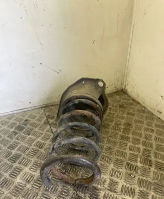 Volvo S60 Rear coil spring