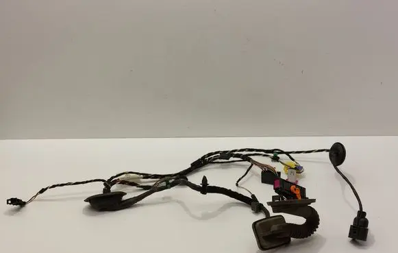 Volkswagen Tiguan Front door wiring loom 5N1971121G 5N0959843B
