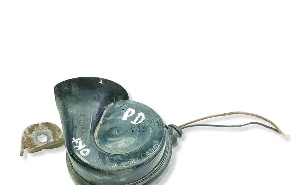 Volkswagen PASSAT B6 Horn signal E1000209