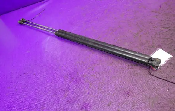 Tailgate strut