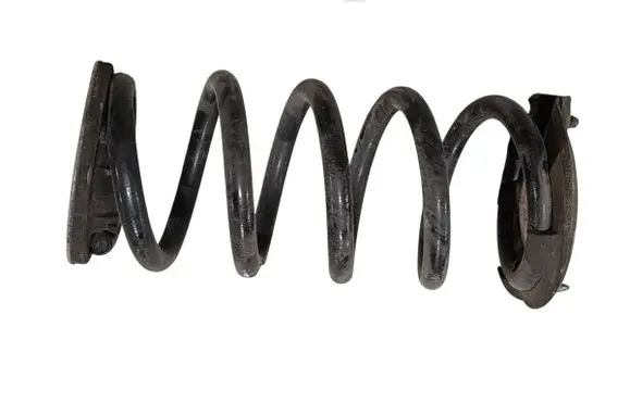 Rear coil spring