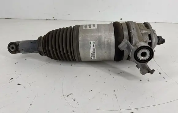 Porsche Cayenne (92A) Shock absorber/damper/air suspension 7P5616019AJ 7P5616503AE 7P5616019