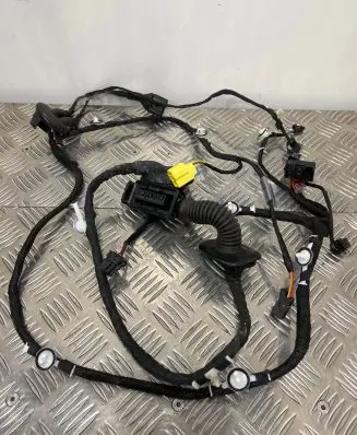 Audi Q5 SQ5 Front door wiring loom 8R0971029BA TAB010766TR
