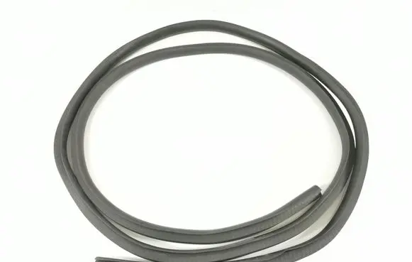 Dodge RAM Rear door rubber seal (on body) Unknown