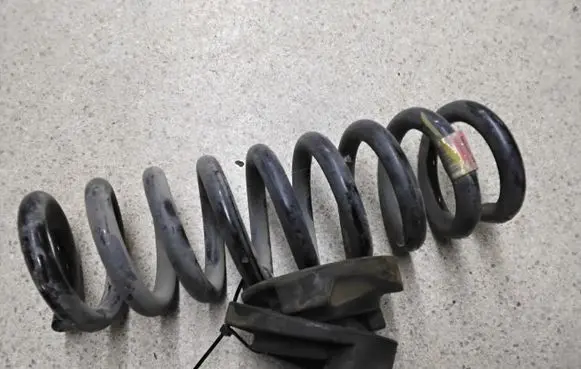 Rear coil spring