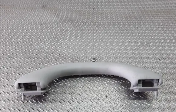 Skoda Octavia Mk2 (1Z) Front interior roof grab handle