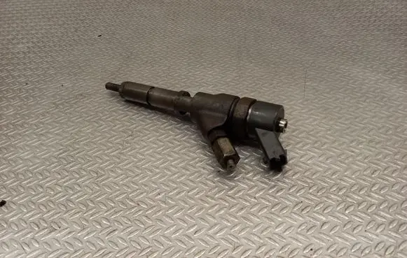 Citroen C5 Fuel injector 9635196580 0445110008