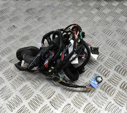 Tesla Model 3 Front door wiring loom 306795702C