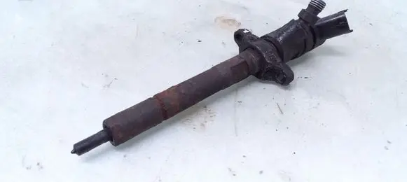 Ford Focus Fuel injector 08107D602 0445110259