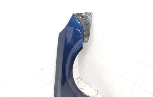 Opel Signum Fender