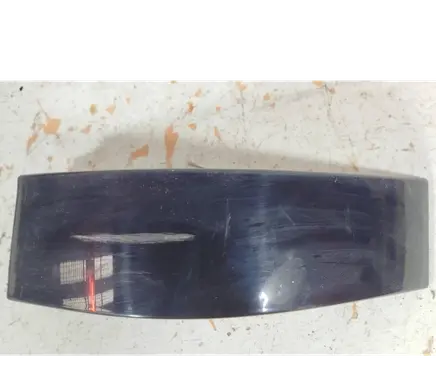 Rear/tail light trim molding