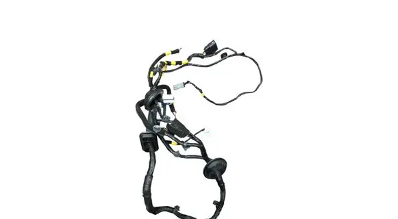 Other wiring loom