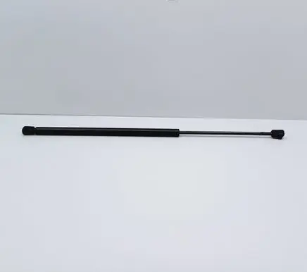 Tailgate strut
