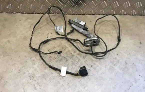 BMW 5 GT F07 Front door wiring loom 9169241