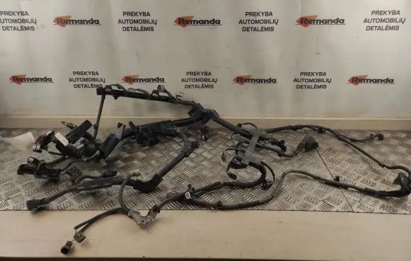 Toyota Prius (XW50) Engine installation wiring loom