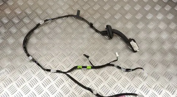 Rear door wiring loom