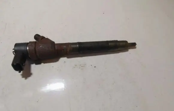 Hyundai i30 Fuel injector 0445110320 338002a900