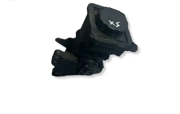 BMW X5 E53 Power steering pump 7691974518
