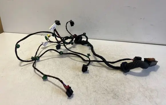 Porsche Taycan 9J1 Front door wiring loom 9JA971036AE