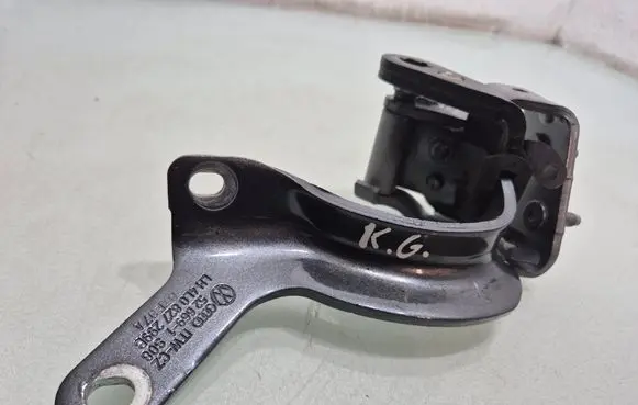 Tailgate/trunk/boot hinge