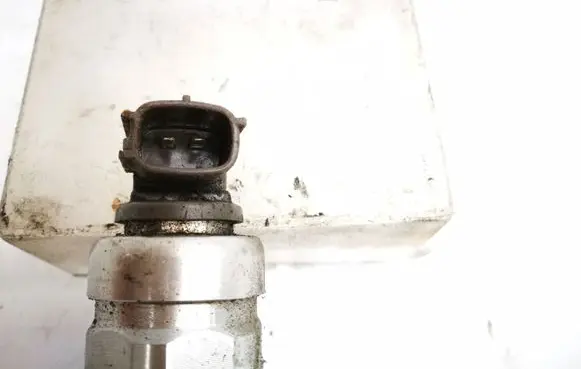Nissan Pathfinder R51 Fuel injector 16600
