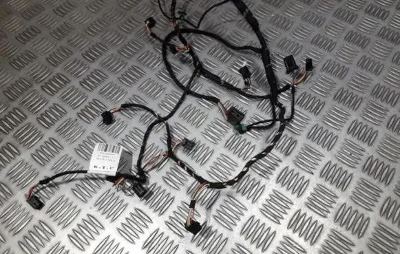 Other wiring loom