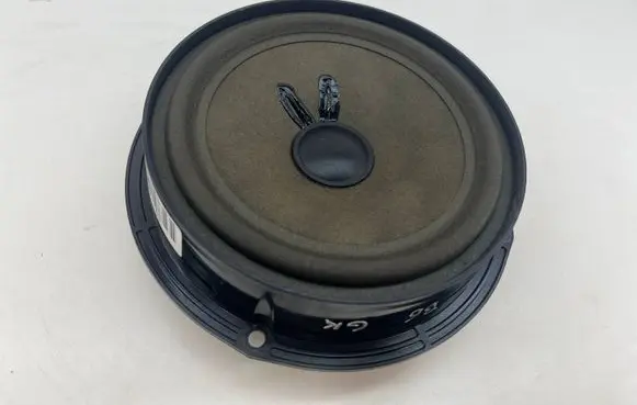 Volkswagen PASSAT B6 Rear door speaker 3C0035453