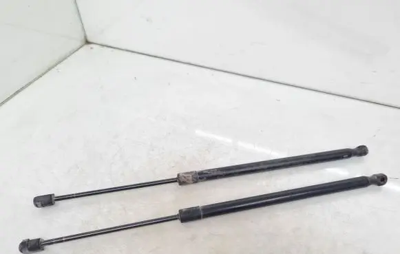 Tailgate/trunk strut/damper