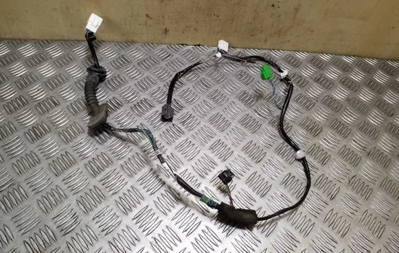 Rear door wiring loom