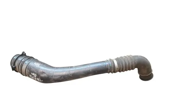 Renault Trafic III (X82) Fuel tank filler neck pipe 172219952R