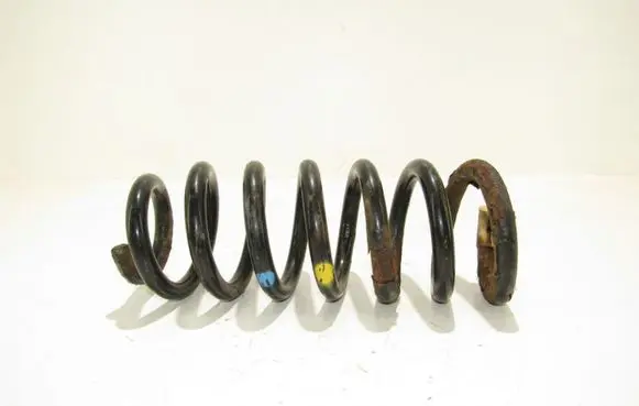 Rear coil spring