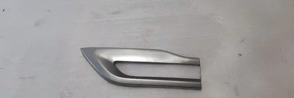 Rear/tail light trim molding