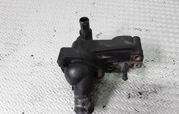 Thermostat/thermostat housing