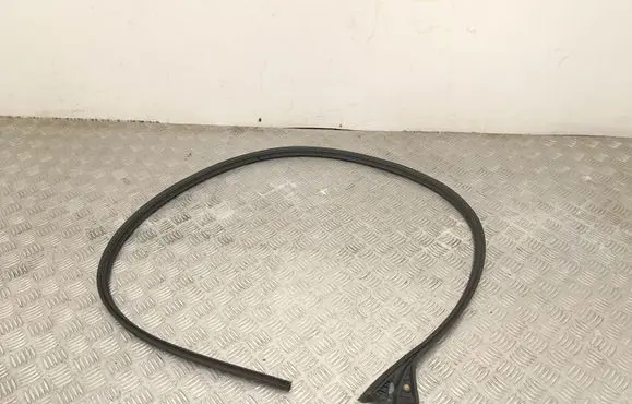 Tesla Model Y Juniper Rubber seal front door (on door) 149767700C