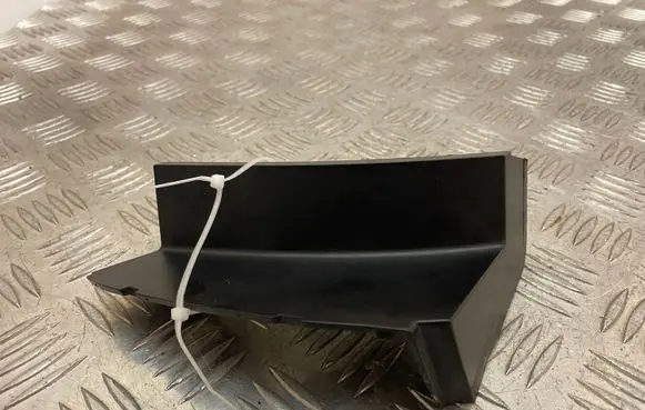 Rear/tail light trim molding