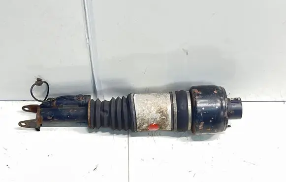 Mercedes-Benz CLS C219 Front shock absorber/damper C086119