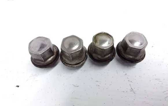 Ford Focus Nuts/bolts 