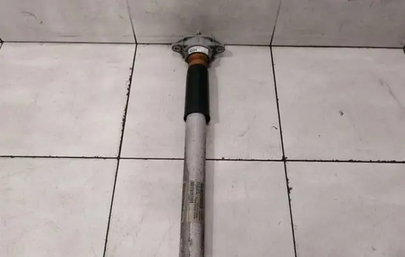 Porsche Panamera (970) Rear shock absorber/damper 97033306133